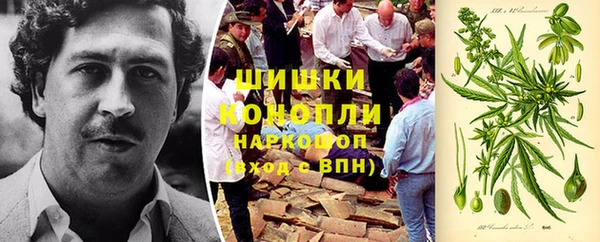 прущие грибы Пролетарск